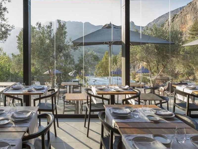 Vivood Landscape & - Designed For Adults Benimantell